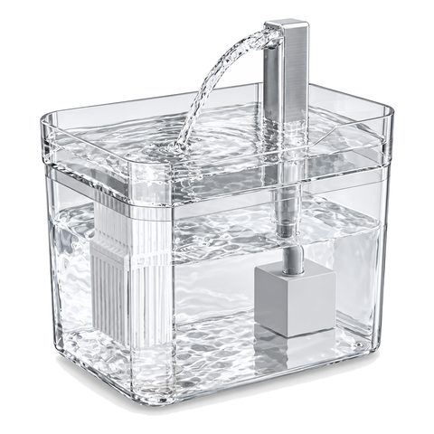 Transparent cat water fountain on a white background, with a clear tank and drinking tray, a silver spout, and the filter basket and pump visible inside