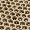 Close-up of the honeycomb cells holding litter grains