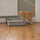 A ginger tabby stepping into a large open litter tray