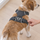 Back view of a Ruffwear Front Range harness on a dog, aluminium V-ring centred, with one finger slid under the girth strap to check the fit