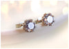 Elegant 925 Silver Stud Earrings with Sparkling Zirconia