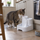 A tabby cat drinking from the stream at the top level of the fountain