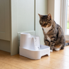 The Cat Mate fountain beside an adult cat in a kitchen corner, for scale