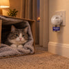 A cat tucked inside a cardboard box den beside a FELIWAY Optimum diffuser, curtains drawn