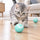 A tabby cat crouched low on a wooden floor, eyes fixed on a small blue ball rolling away from it