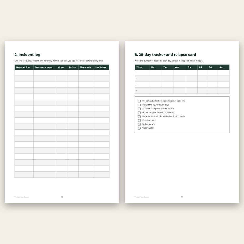 Two printables from Back in the Tray: the incident log and the 28-day tracker and relapse card