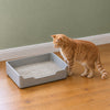 A ginger tabby standing beside a large open grey litter tray, looking in