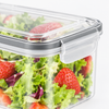 Close-up of the clear lid with its gray latch rim, side clip and silicone sealing ring