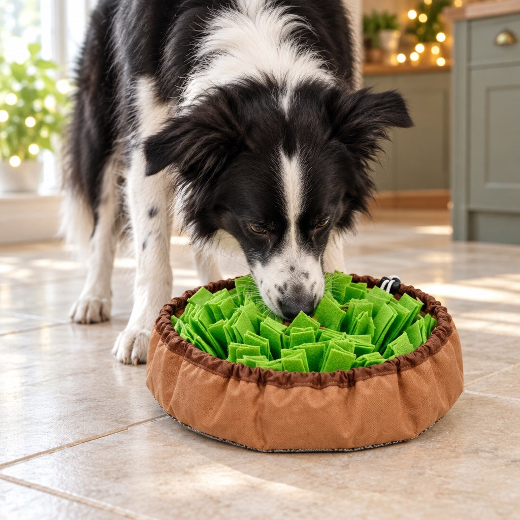 A dog with its nose buried in the green felt strips of a round snuffle mat on a living room floor