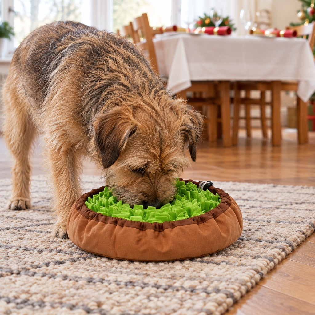 Christmas Day in a living room: a dog forages in a green felt snuffle bowl on the rug while the Christmas table is laid in the background