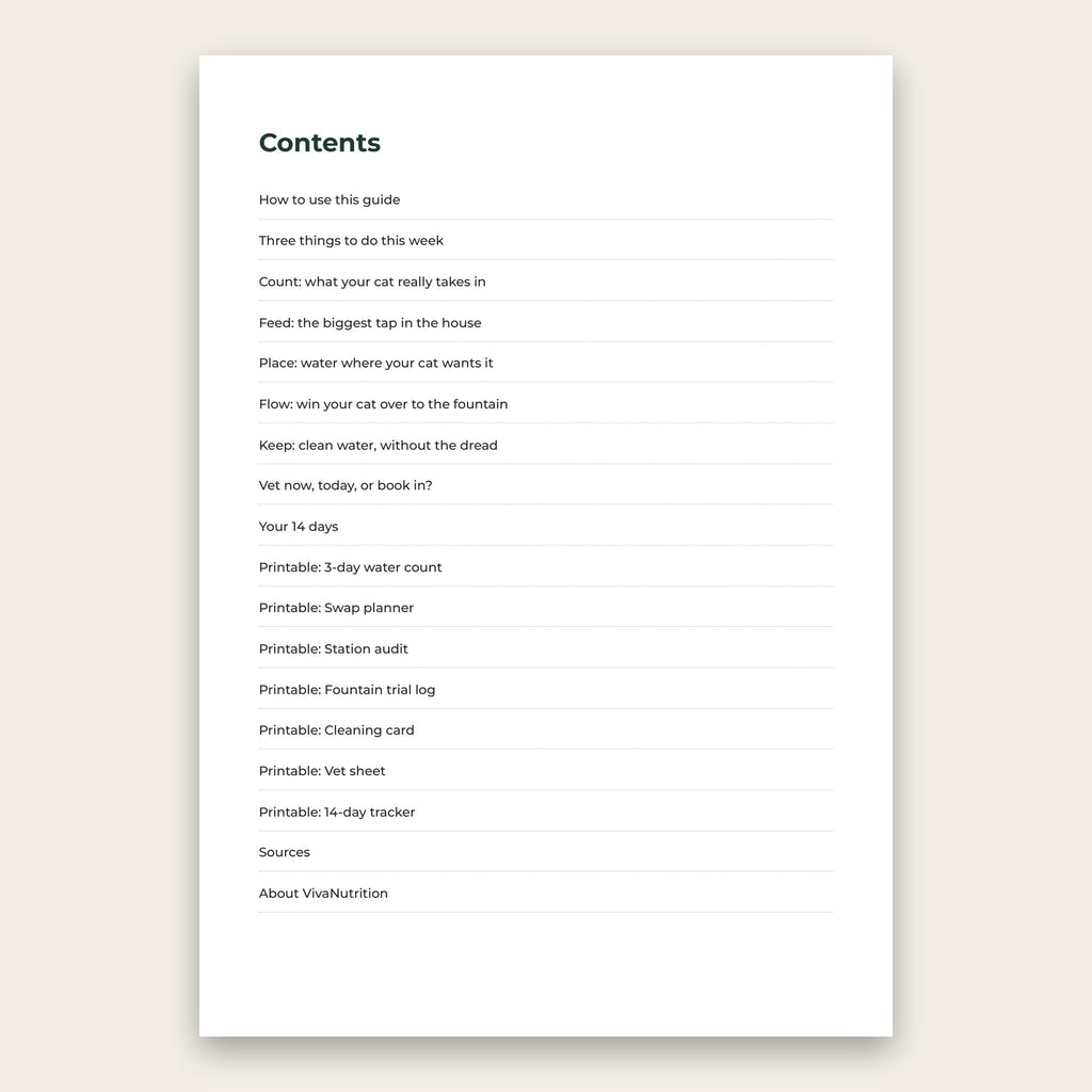 More Water in 14 Days contents page, from the water count to the 14-day plan and the printables