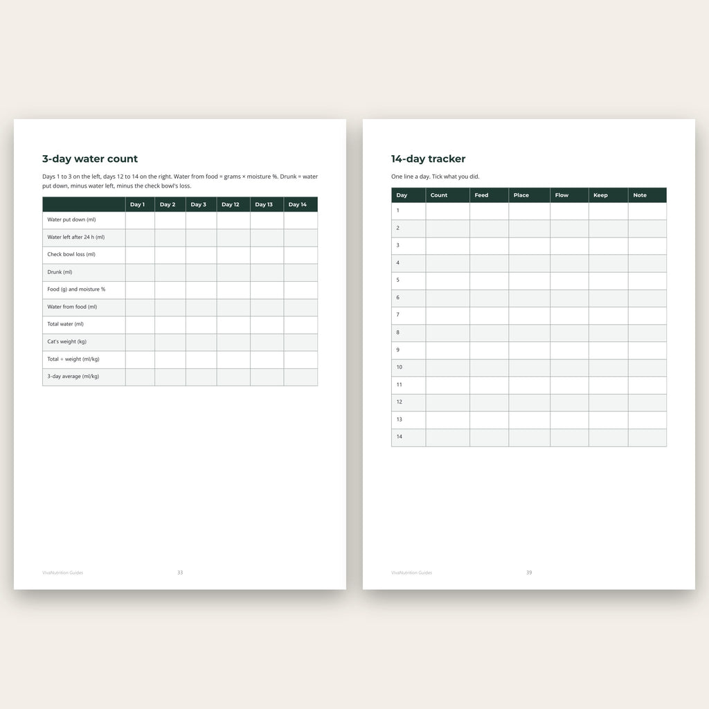 Two printables from More Water in 14 Days: the 3-day water count and the 14-day tracker
